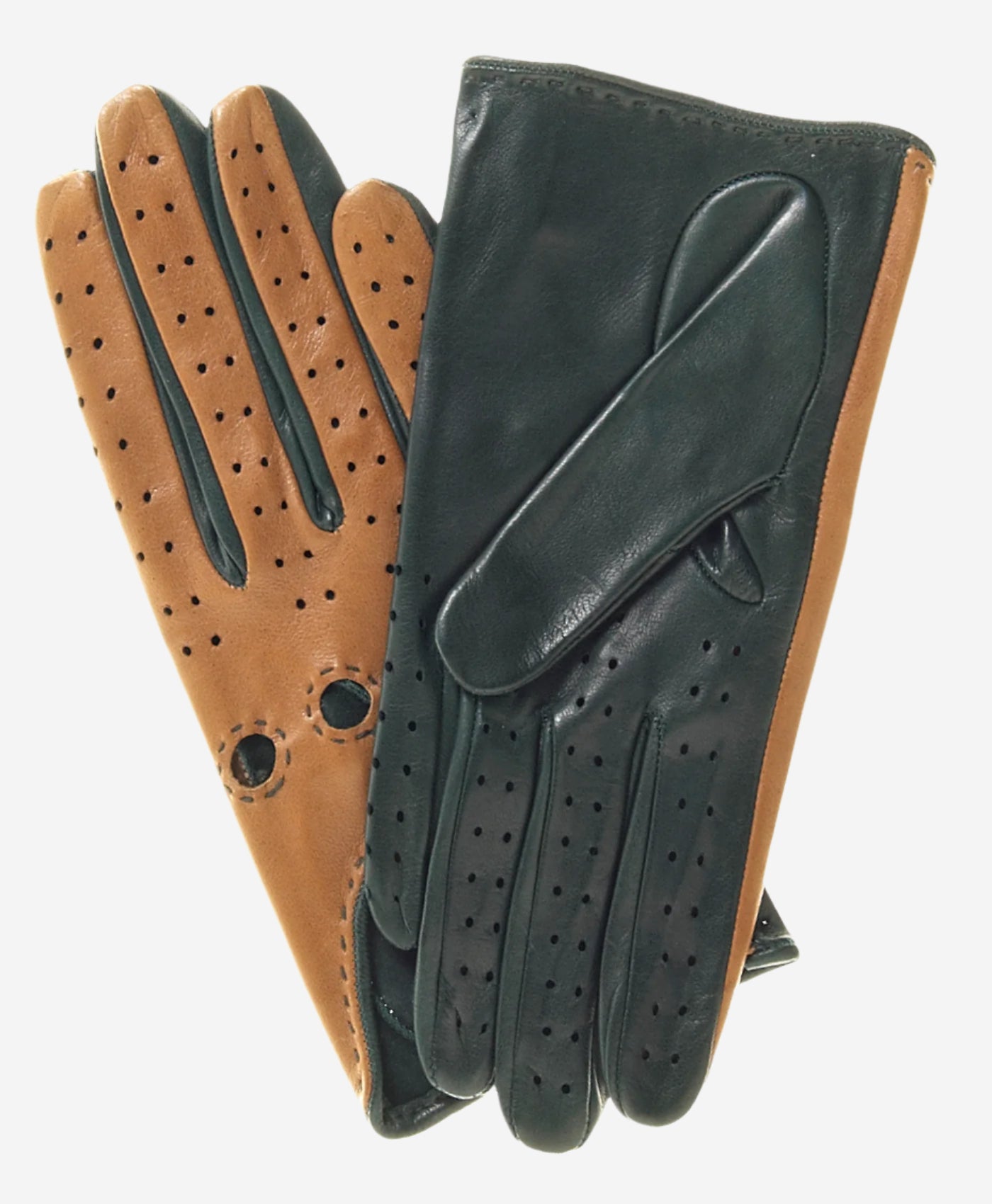 CD4363 (camel/forest) - Women's Two-tone Italian Leather Driving Gloves - Leather Gloves Online - Luxury Leather Gloves - 1