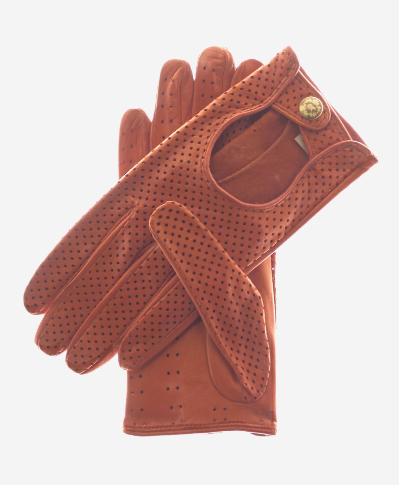 CD4466 (cognac) - Women's Ventilated Leather Driving Gloves - Leather Gloves Online - Luxury Leather Gloves - 1