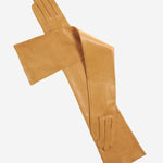 FS15W16 (vac) - Italian Silk Lined Opera Leather Gloves - 16-Button Length  - Leather Gloves Online - Luxury Leather Gloves - 1
