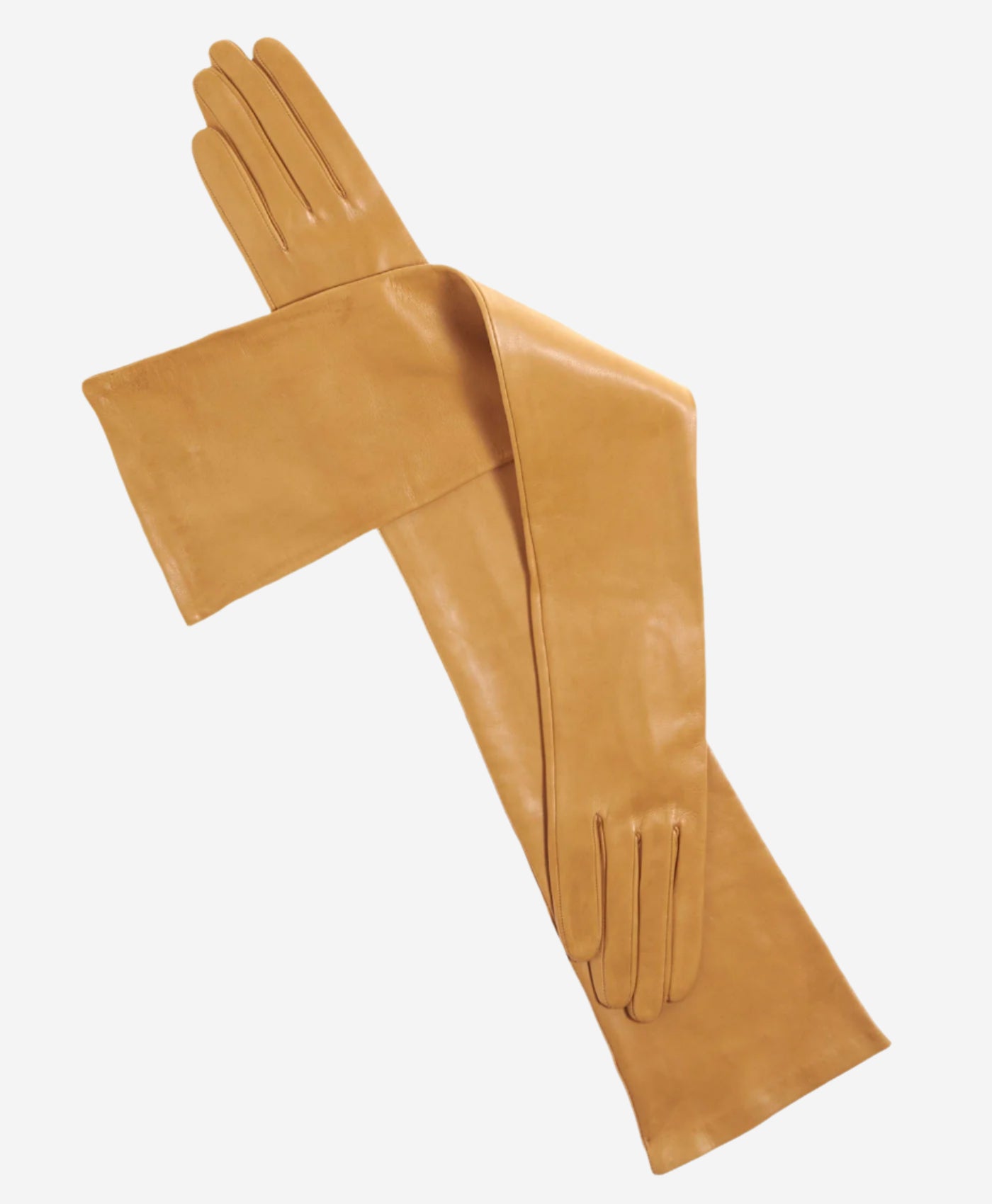 FS15W16 (vac) - Italian Silk Lined Opera Leather Gloves - 16-Button Length  - Leather Gloves Online - Luxury Leather Gloves - 1