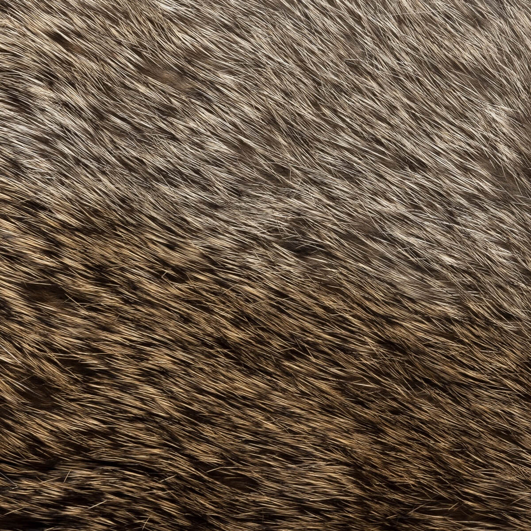 Rabbit Fur Leather Gloves Black Natural Fur - Handmade in Italy ...